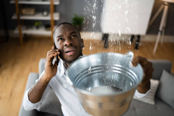 Best Basement water damage restoration  in Belle Fourche, SD