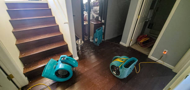 Best Water damage cleanup near me  in Belle Fourche, SD