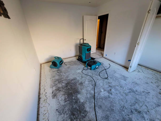 Best Sewage cleanup and water damage restoration  in Belle Fourche, SD