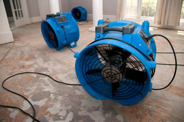 Best Water damage restoration near me  in Belle Fourche, SD