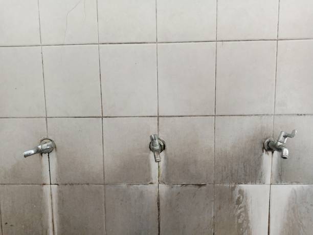  Belle Fourche, SD Water damage restoration Pros