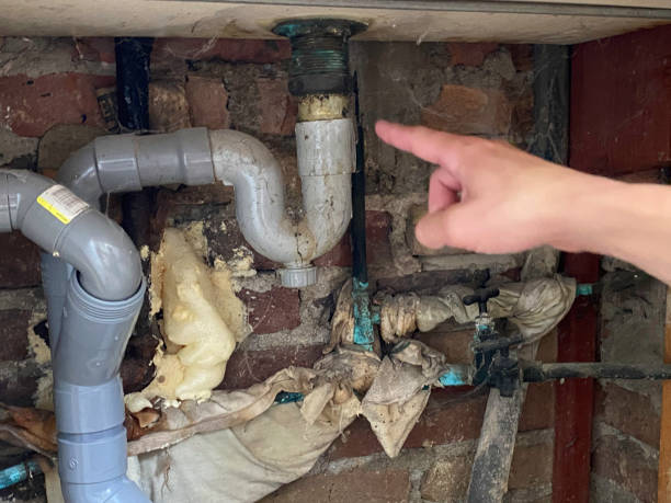 Best Carpet water damage restoration  in Belle Fourche, SD